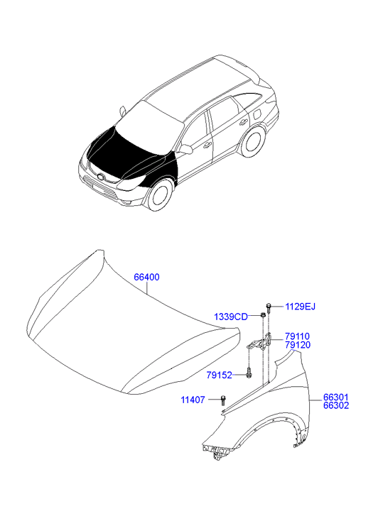 Hyundai 791203J000 - Шарнір, капот autocars.com.ua