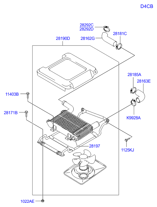 Hyundai 1022508007B - Nut avtokuzovplus.com.ua