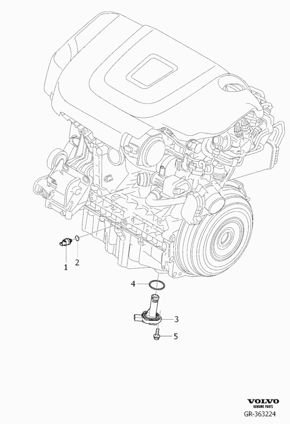 Volvo 31219441 - Уплотнительное кольцо, резьбовая пробка маслосливного отверстия avtokuzovplus.com.ua